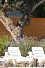 Ons zwembad van 400 m2 wacht op U onder de zon in een middellandse omgeving (…)