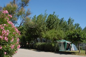 Ihr Stellplatz direkt am Strand in Serignan Plage (france)