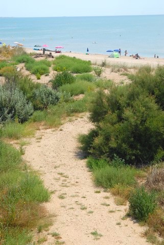 Boundaries of the Beauséjour campground at Sérignan Beach