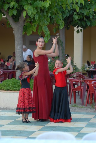 Flamenco at the Beauséjour campground, Sérignan Beach