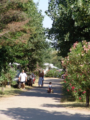 Going out from the tent for a walk in the campground