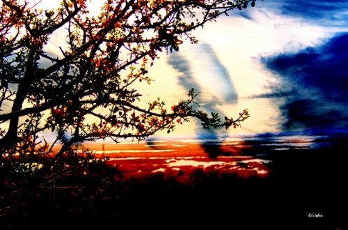 Crépuscule sur l'étang de Vendres