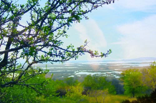 L'étang de Vendres sous un ciel bleu