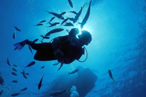Diving at Sérignan