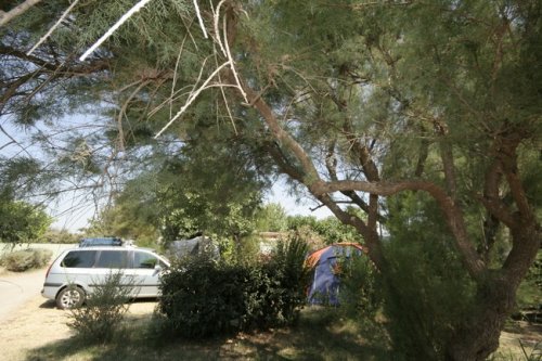 Campsites surrounded by the Mediterranean vegetation