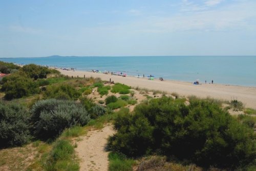 The mediterranean littoral: the beach front of the Beauséjour campground