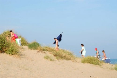 Cordon of sandy dunes around the campground