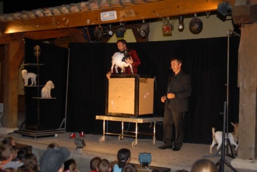 Magic show at the campground