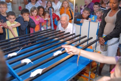 Surprising activities at the Beauséjour campground