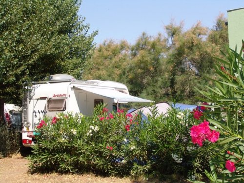 Campsites surrounded by flowers and with direct access to the beach