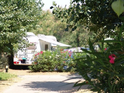 Flowered campsites at teh campground Beauséjour in the Mediterranean coast